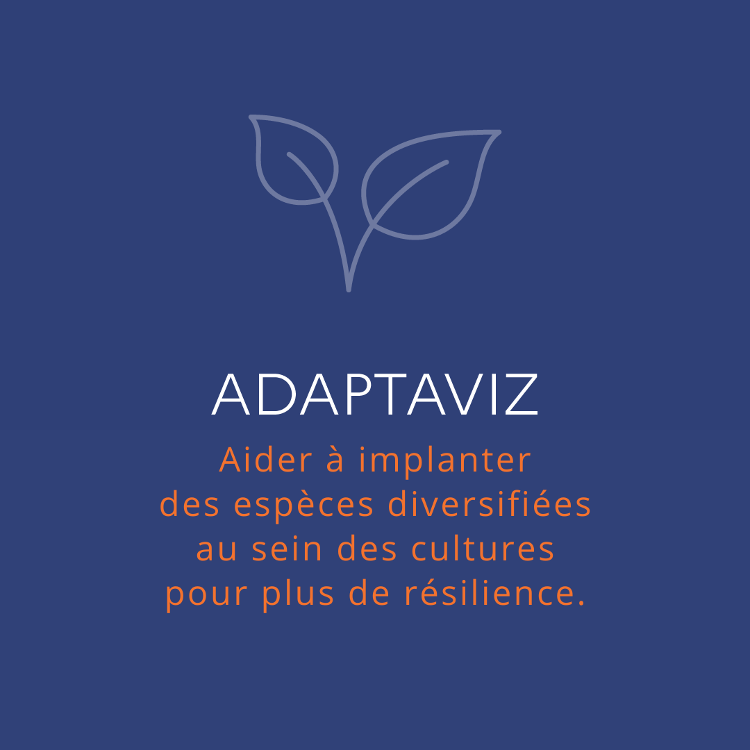 Le projet ADAPTAVIZ