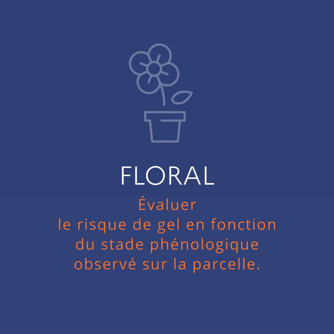 Le projet FLORAL