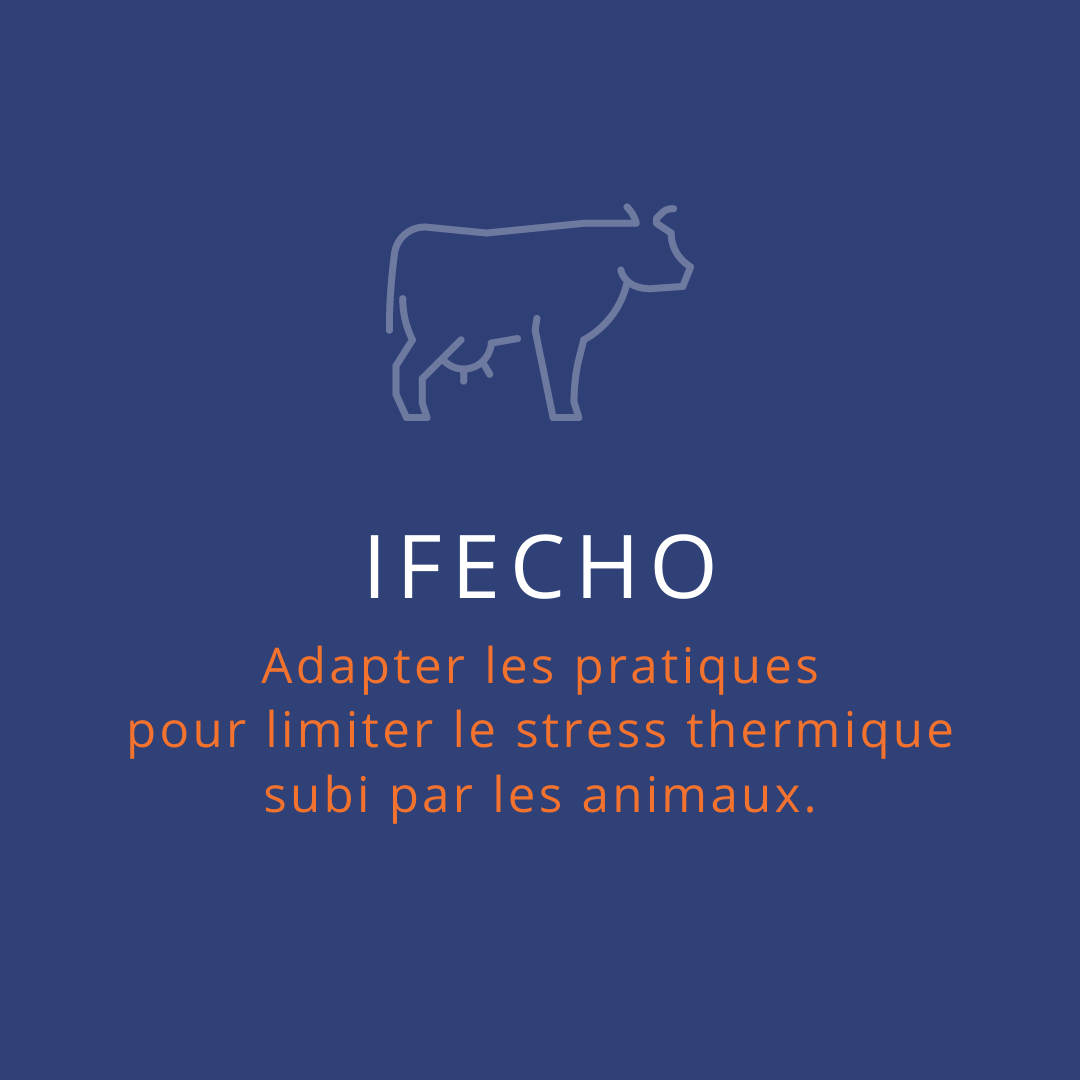 Le projet IFECHO