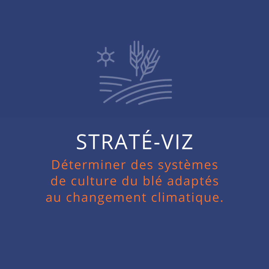 Le projet STRATÉ-VIZ