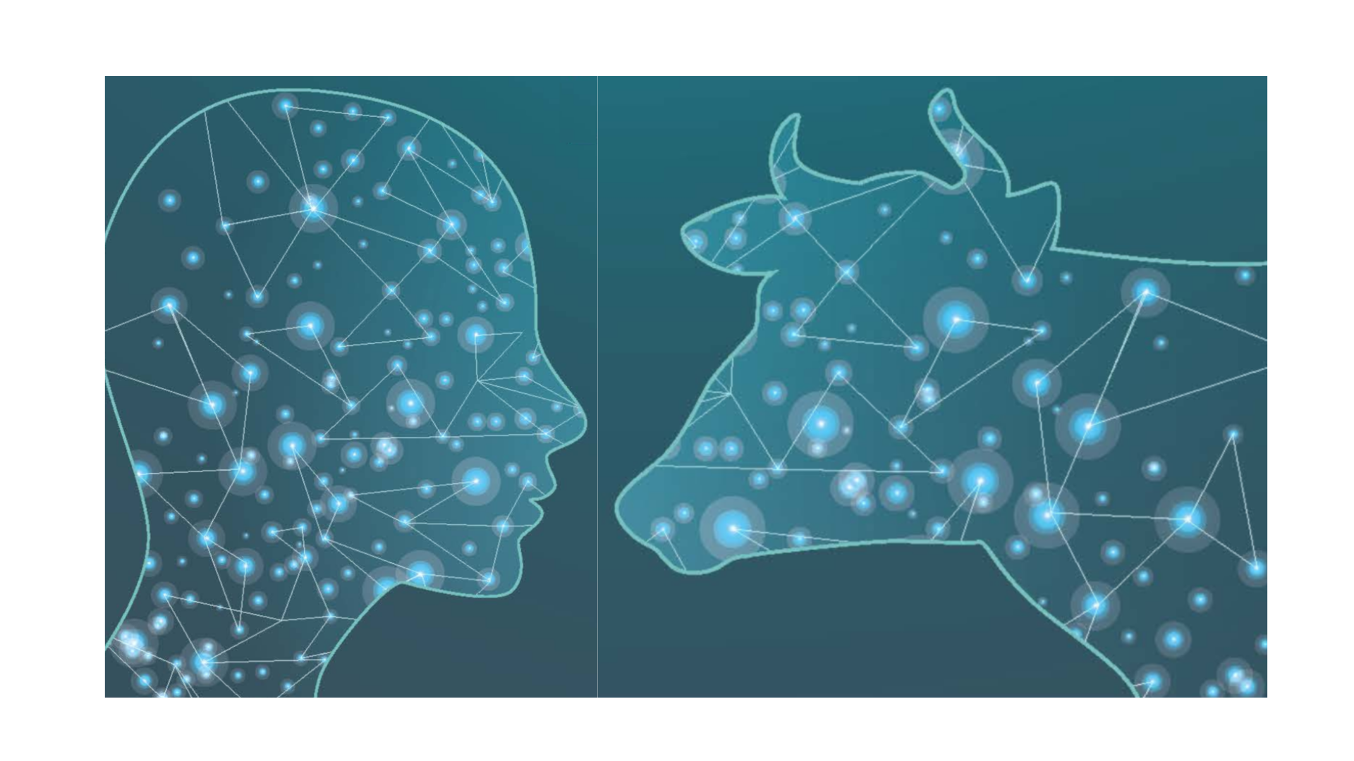 L’intelligence artificielle au cœur de l’élevage
